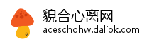 貌合心离网